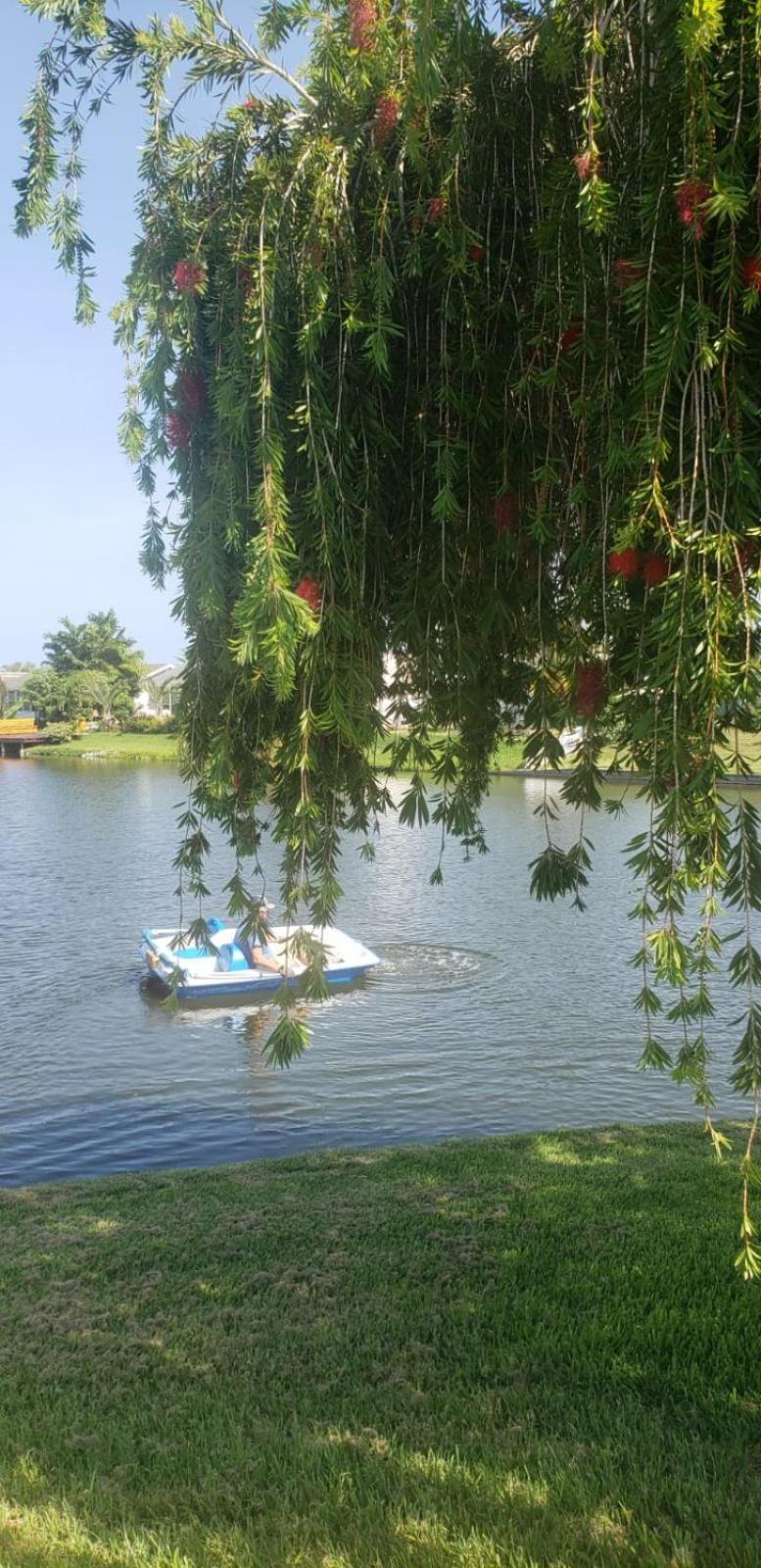 Near Clearwater And Tarpon Spring With Water View Διαμέρισμα Holiday Εξωτερικό φωτογραφία